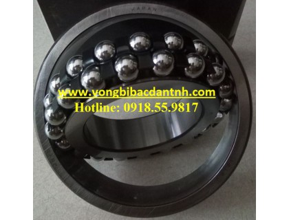 VÒNG BI TRÒN NHÀO 2 DÃY VÒNG BI TRÒN NHÀO 2 DÃY